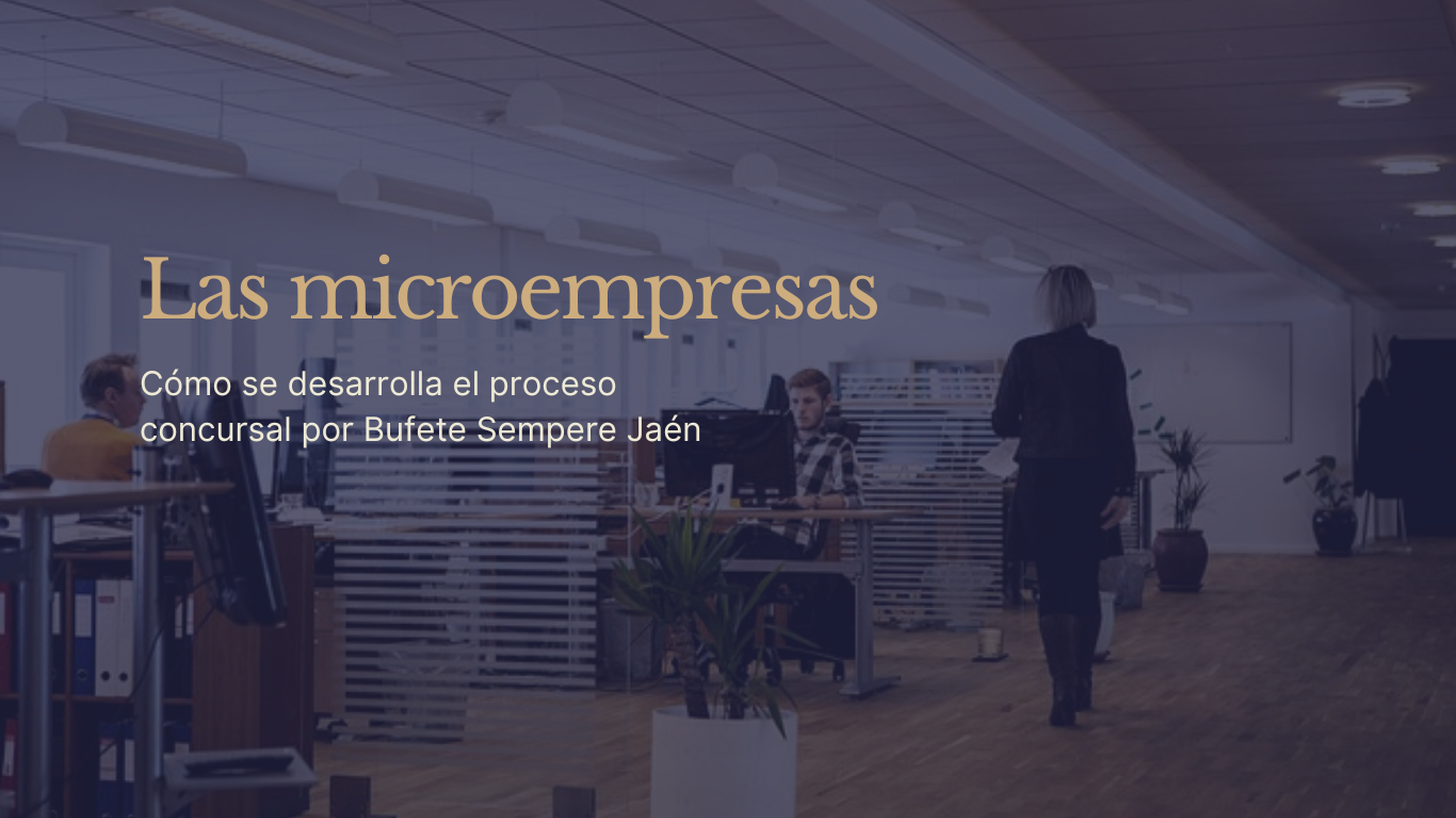 Las microempresas y su procedimiento concursal